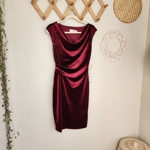 Eliza J Velvet Sparkle Cowl Neck Sheath Knee-Length Dress In Burgundy Size 4 NWT